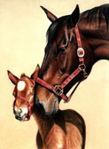 Mares and Foals, Equine Art - Don't Knock Me Over
